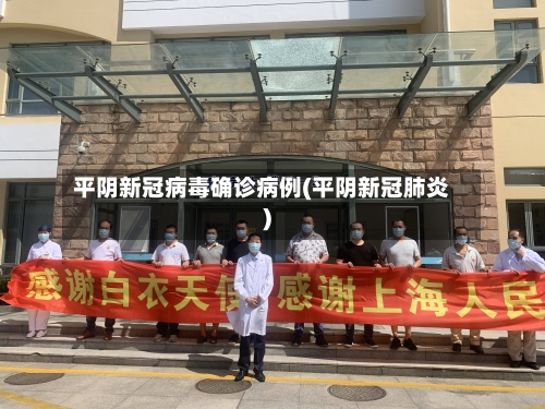 平阴新冠病毒确诊病例(平阴新冠肺炎)