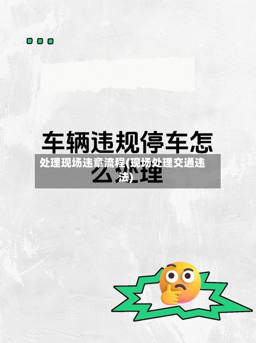 处理现场违章流程(现场处理交通违法)-第3张图片