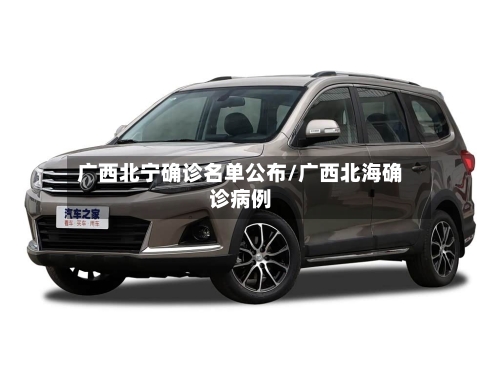 广西北宁确诊名单公布/广西北海确诊病例-第2张图片