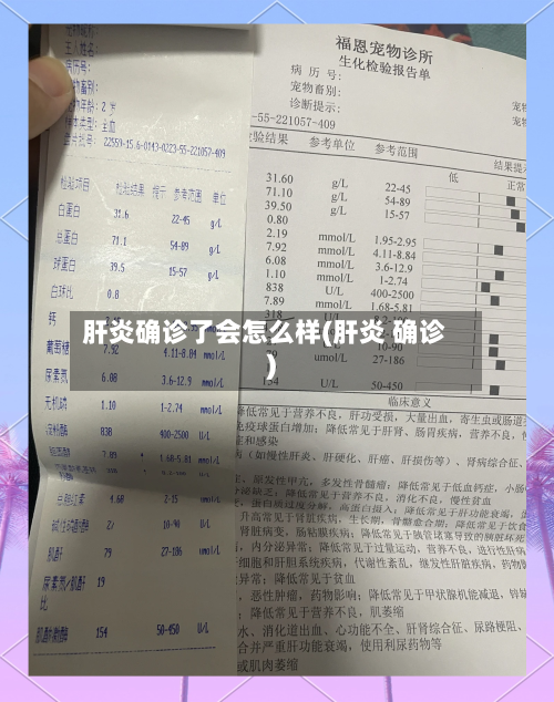 肝炎确诊了会怎么样(肝炎 确诊)-第2张图片