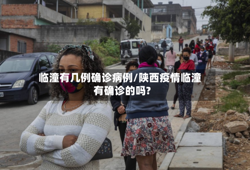 临潼有几例确诊病例/陕西疫情临潼有确诊的吗?