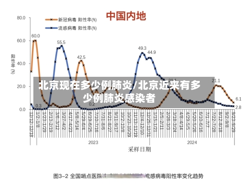 北京现在多少例肺炎/北京近来有多少例肺炎感染者-第3张图片