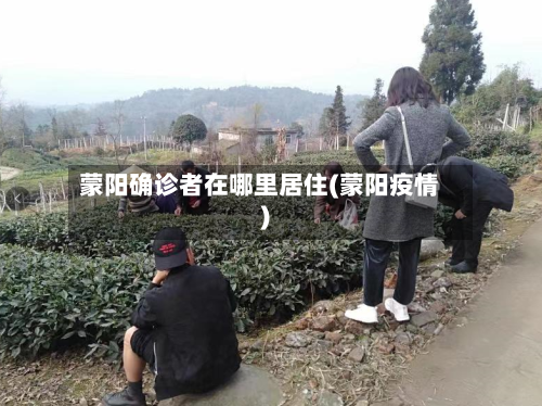 蒙阳确诊者在哪里居住(蒙阳疫情)