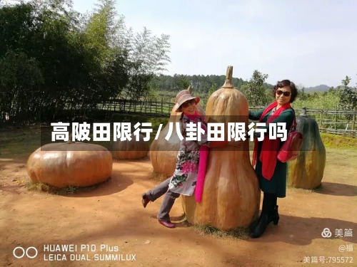 高陂田限行/八卦田限行吗-第2张图片