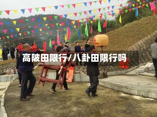 高陂田限行/八卦田限行吗