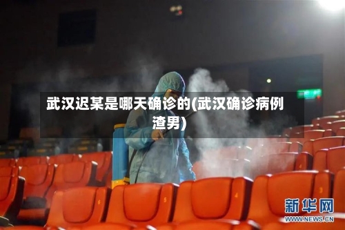 武汉迟某是哪天确诊的(武汉确诊病例渣男)-第3张图片