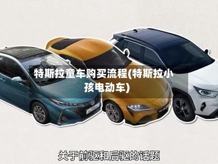 特斯拉童车购买流程(特斯拉小孩电动车)