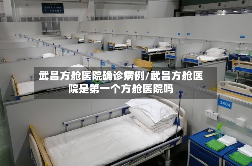 武昌方舱医院确诊病例/武昌方舱医院是第一个方舱医院吗