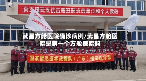 武昌方舱医院确诊病例/武昌方舱医院是第一个方舱医院吗-第3张图片