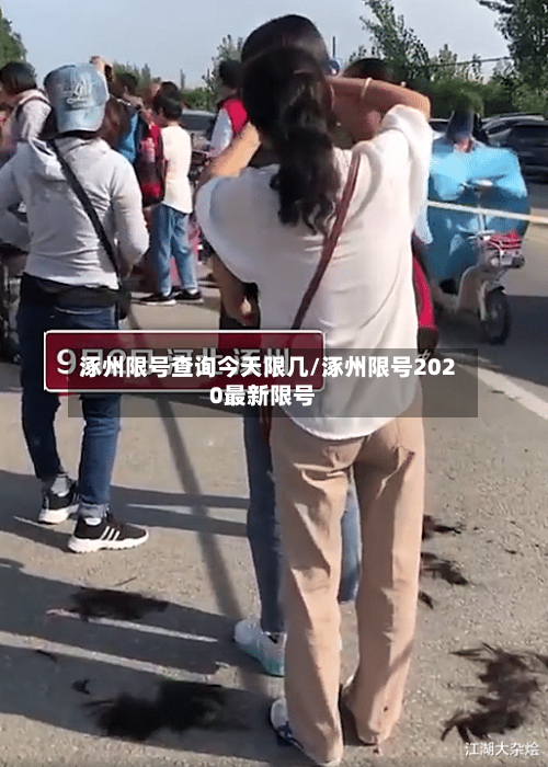 涿州限号查询今天限几/涿州限号2020最新限号-第2张图片