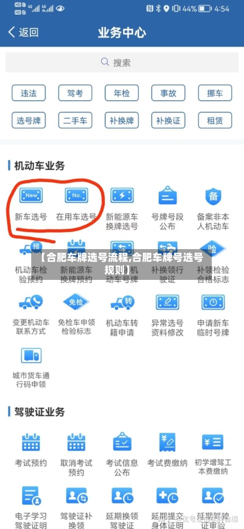 【合肥车牌选号流程,合肥车牌号选号规则】-第3张图片