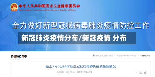 新冠肺炎疫情分布/新冠疫情 分布-第3张图片