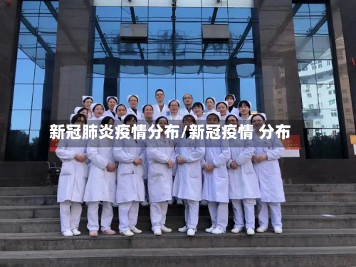 新冠肺炎疫情分布/新冠疫情 分布-第2张图片