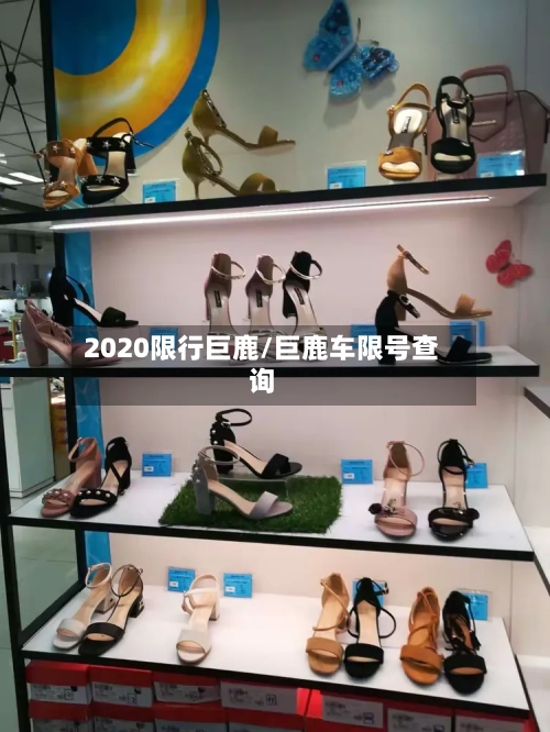 2020限行巨鹿/巨鹿车限号查询-第3张图片