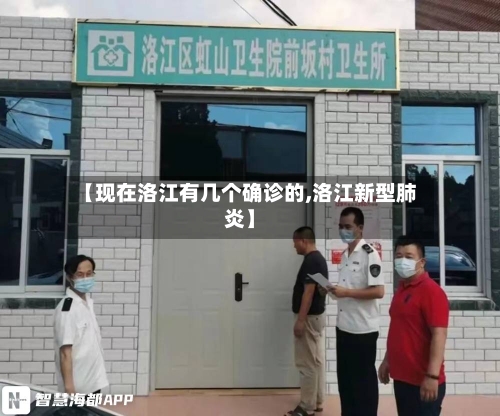 【现在洛江有几个确诊的,洛江新型肺炎】