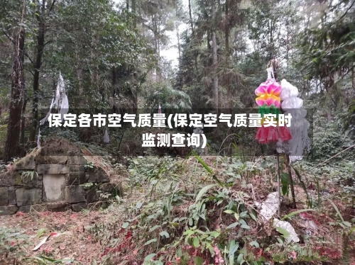 保定各市空气质量(保定空气质量实时监测查询)-第2张图片