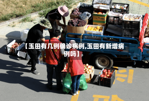 【玉田有几例确诊病例,玉田有新增病例吗】
