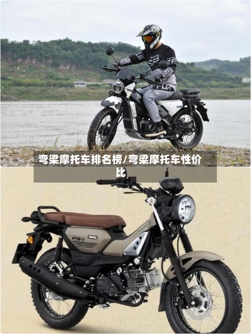 弯梁摩托车排名榜/弯梁摩托车性价比-第2张图片