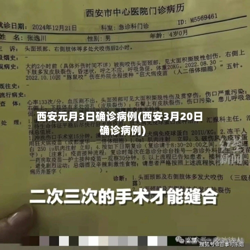 西安元月3日确诊病例(西安3月20日确诊病例)-第2张图片