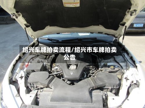 绍兴车牌拍卖流程/绍兴市车牌拍卖公告-第3张图片