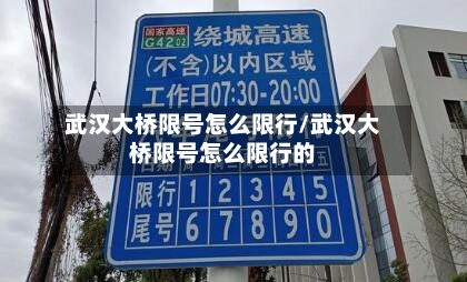 武汉大桥限号怎么限行/武汉大桥限号怎么限行的-第2张图片