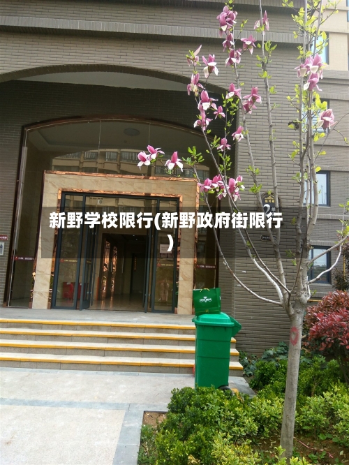 新野学校限行(新野政府街限行)