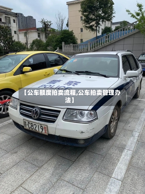 【公车额度拍卖流程,公车拍卖管理办法】