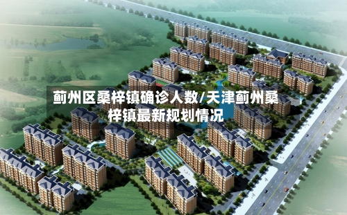 蓟州区桑梓镇确诊人数/天津蓟州桑梓镇最新规划情况