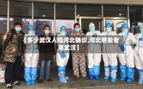 【多少武汉人回河北确诊,河北感染者来武汉】-第2张图片