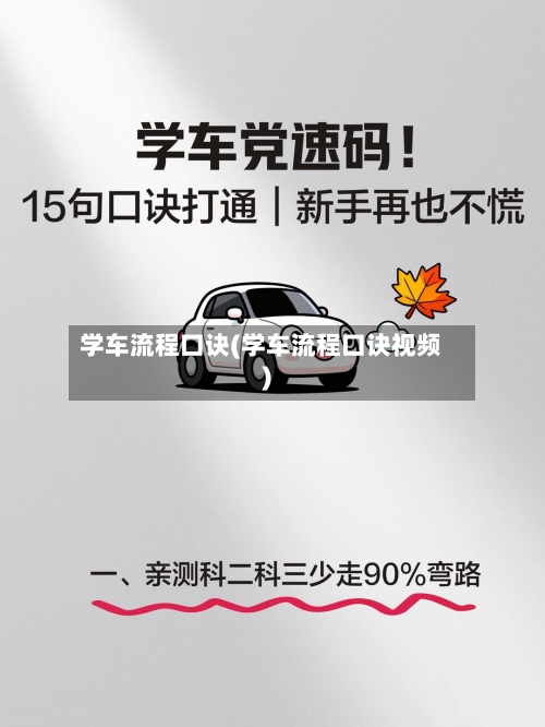 学车流程口诀(学车流程口诀视频)