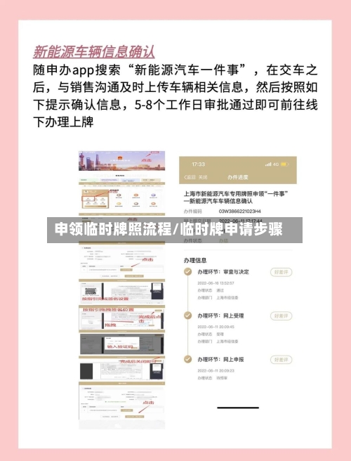 申领临时牌照流程/临时牌申请步骤-第3张图片