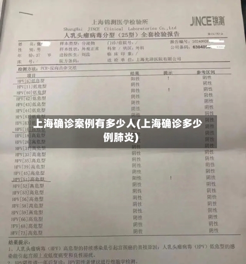 上海确诊案例有多少人(上海确诊多少例肺炎)-第2张图片