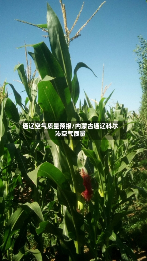 通辽空气质量预报/内蒙古通辽科尔沁空气质量-第2张图片