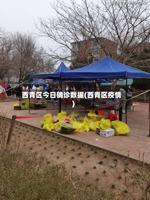 西青区今日确诊数据(西青区疫情)