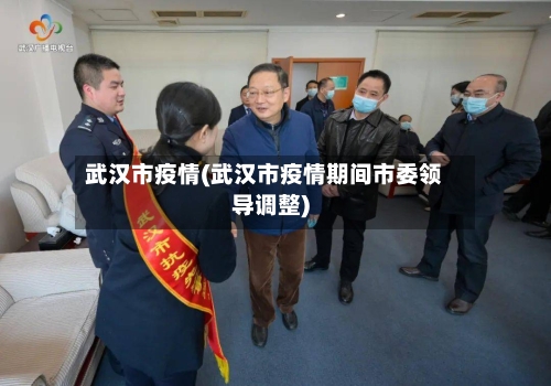 武汉市疫情(武汉市疫情期间市委领导调整)-第3张图片