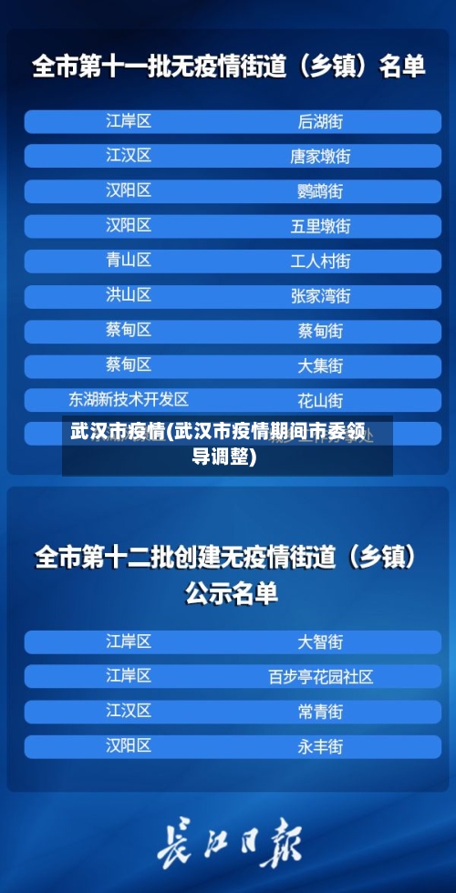 武汉市疫情(武汉市疫情期间市委领导调整)