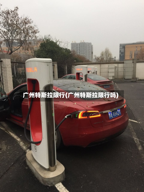 广州特斯拉限行(广州特斯拉限行吗)