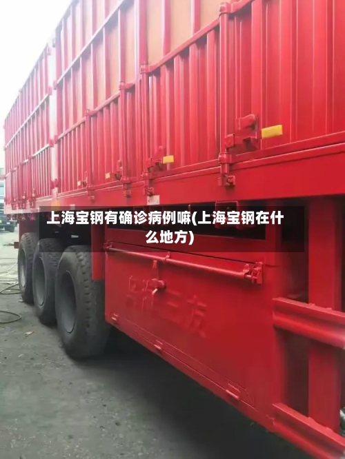 上海宝钢有确诊病例嘛(上海宝钢在什么地方)-第2张图片