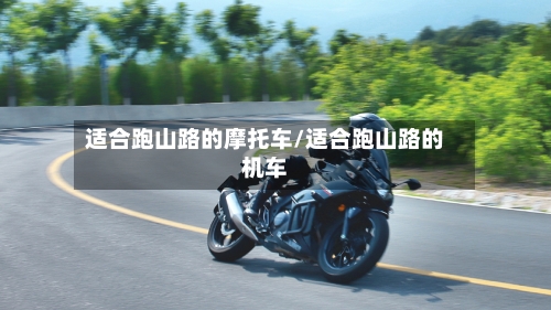 适合跑山路的摩托车/适合跑山路的机车