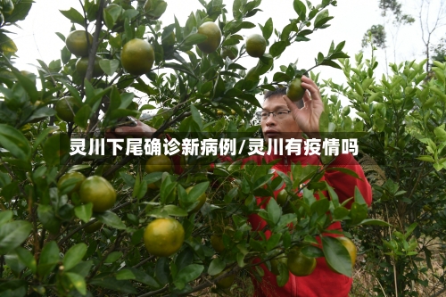 灵川下尾确诊新病例/灵川有疫情吗