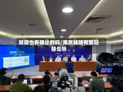秣陵也有确诊的吗/南京秣陵有新冠肺炎吗