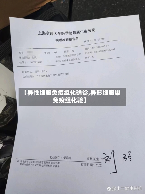 【异性细胞免疫组化确诊,异形细胞巢免疫组化验】