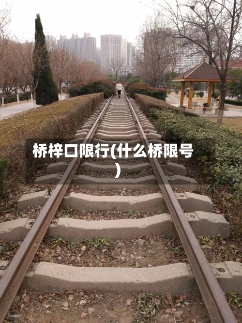桥梓口限行(什么桥限号)