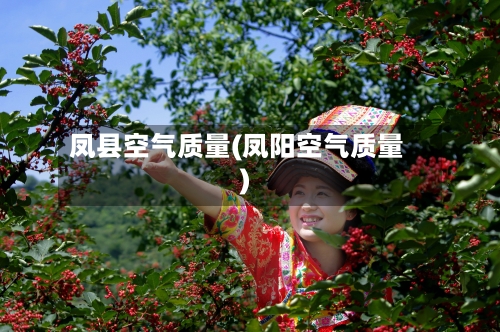 凤县空气质量(凤阳空气质量)