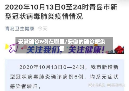 安徽确诊6例在哪里/安徽的确诊感染者