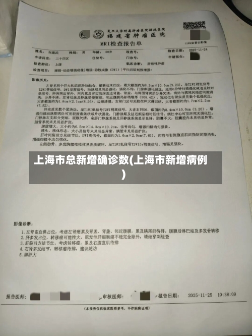 上海市总新增确诊数(上海市新增病例)-第2张图片