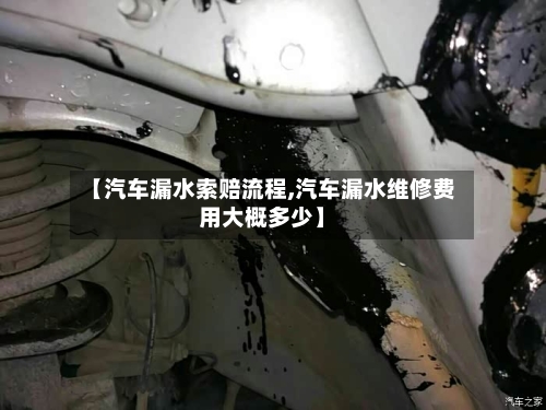 【汽车漏水索赔流程,汽车漏水维修费用大概多少】
