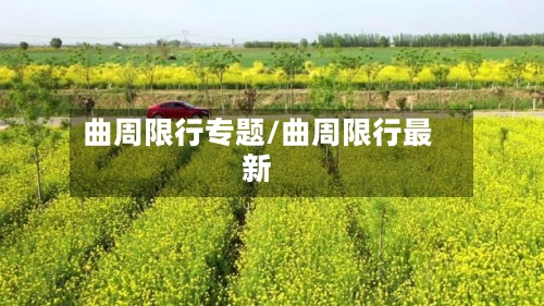 曲周限行专题/曲周限行最新