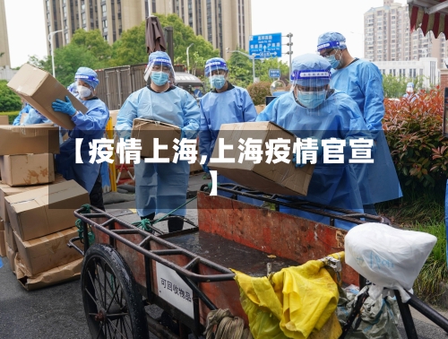【疫情上海,上海疫情官宣】-第2张图片