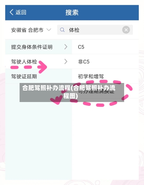 合肥驾照补办流程(合肥驾照补办流程图)